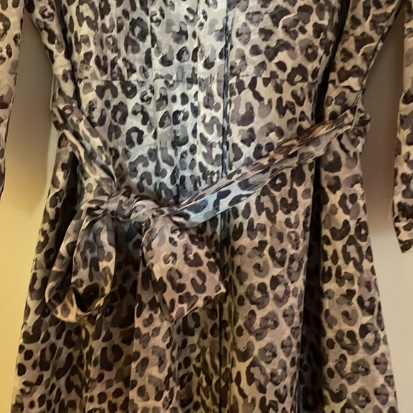 Shirtwaist Silk Dress - Picture 5 of 6